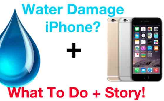 what to do if iphone dropped in water