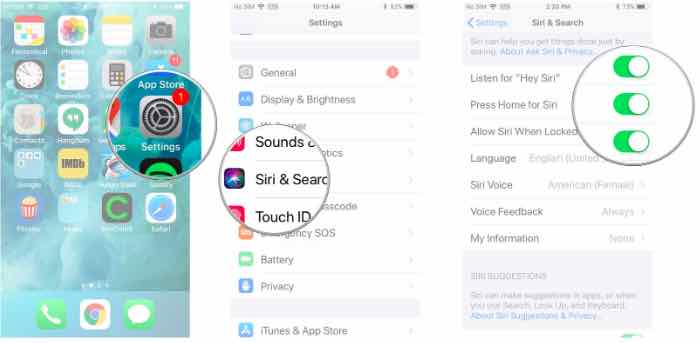 Read more about the article How to use Siri on iPhone XR